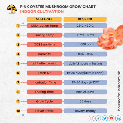 Pink Oyster Mushroom Grow Kit 2.5kg