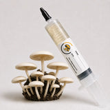 Plastic-Eating Fungi Mushroom Liquid Culture – 10cc Syringe | Pestalotiopsis Microspora Strain (710)