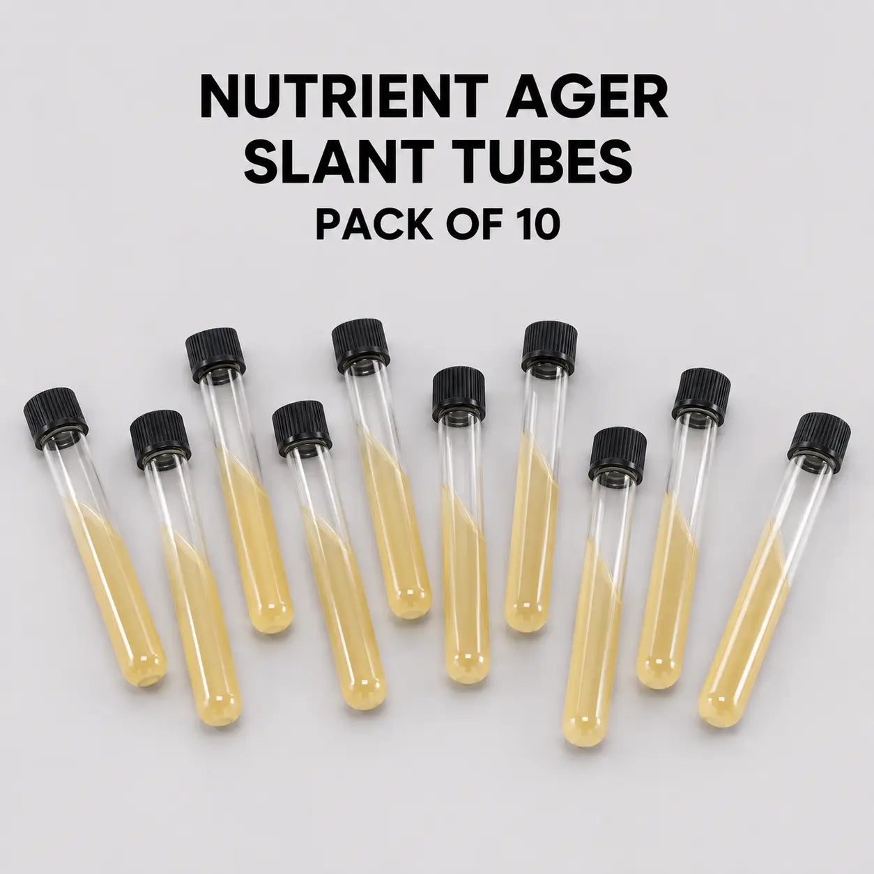 Pre-Poured Sterilized Malt Extract Agar Bottles – 10-Pack | Ready Sterile Culture Media