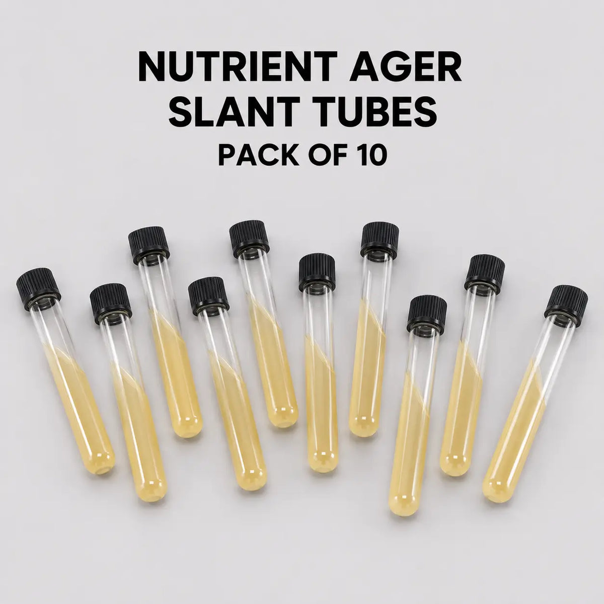 Pre-Poured Sterilized Malt Extract Agar Bottles – 10-Pack | Ready Sterile Culture Media