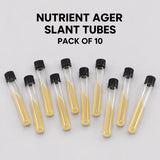 Pre-Poured Sterilized Malt Extract Agar Bottles – 10-Pack | Ready Sterile Culture Media