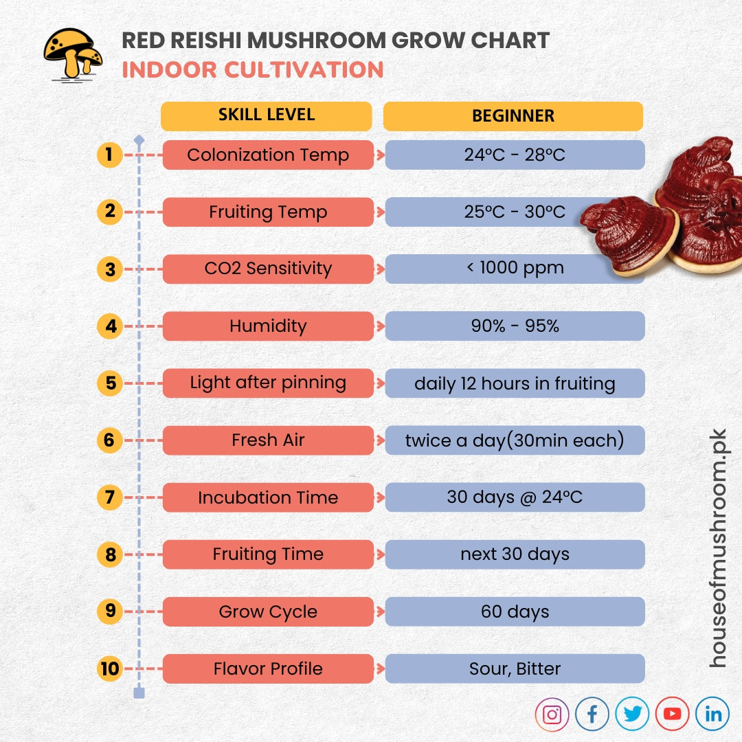 Red Reishi Mushroom Grow Kit 2.5kg