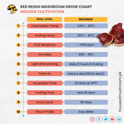 Bulk Red Reishi Ganoderma Mushroom Spawn 25kg