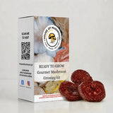 Ready-to-Fruit Mushroom Grow Bag Red Reishi