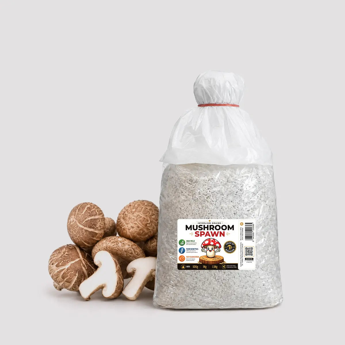 Shiitake Verstile Mushroom Grain Spawn 1.5kg (951)