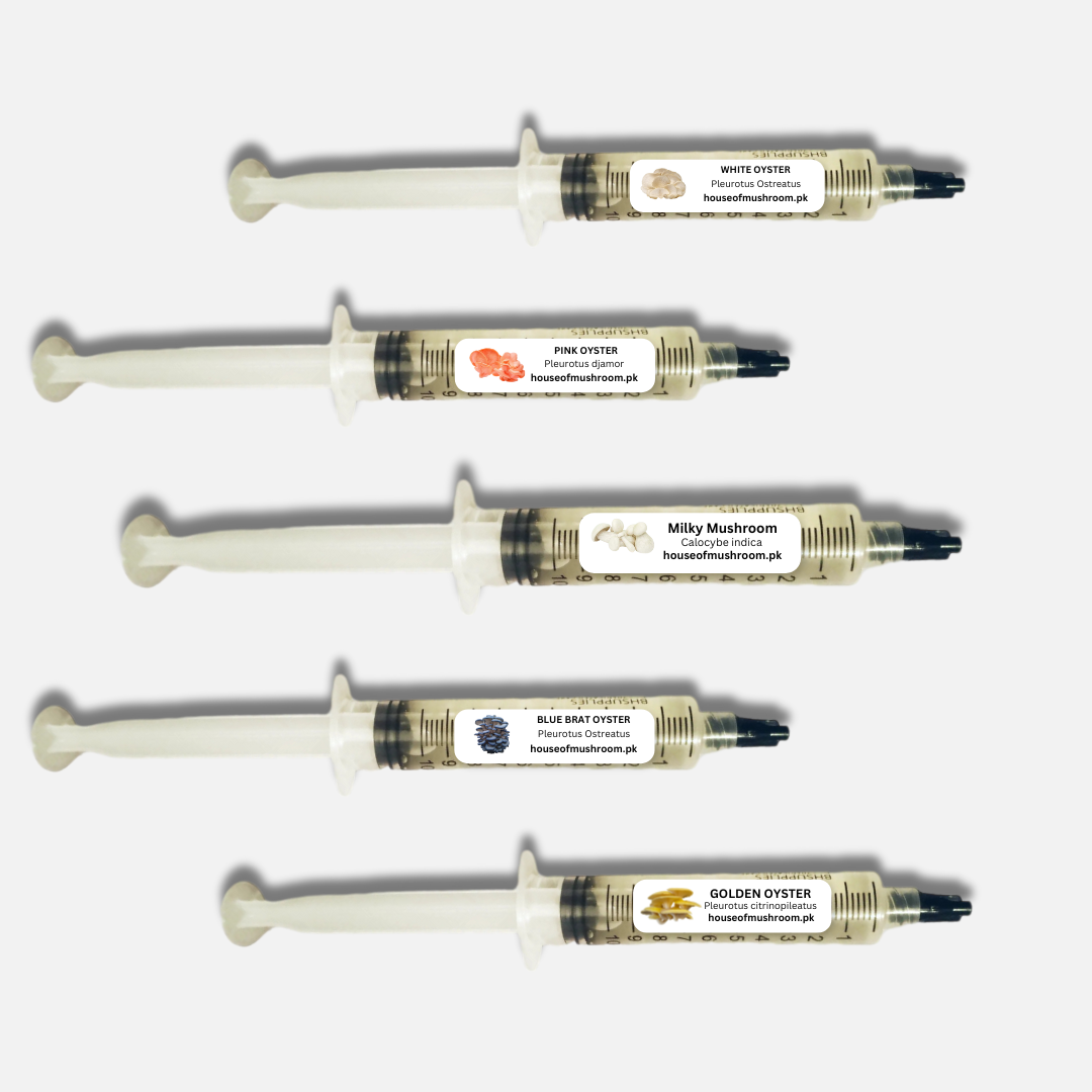 Starter-Kit 5 Liquid Culture Syringes Economy Pack