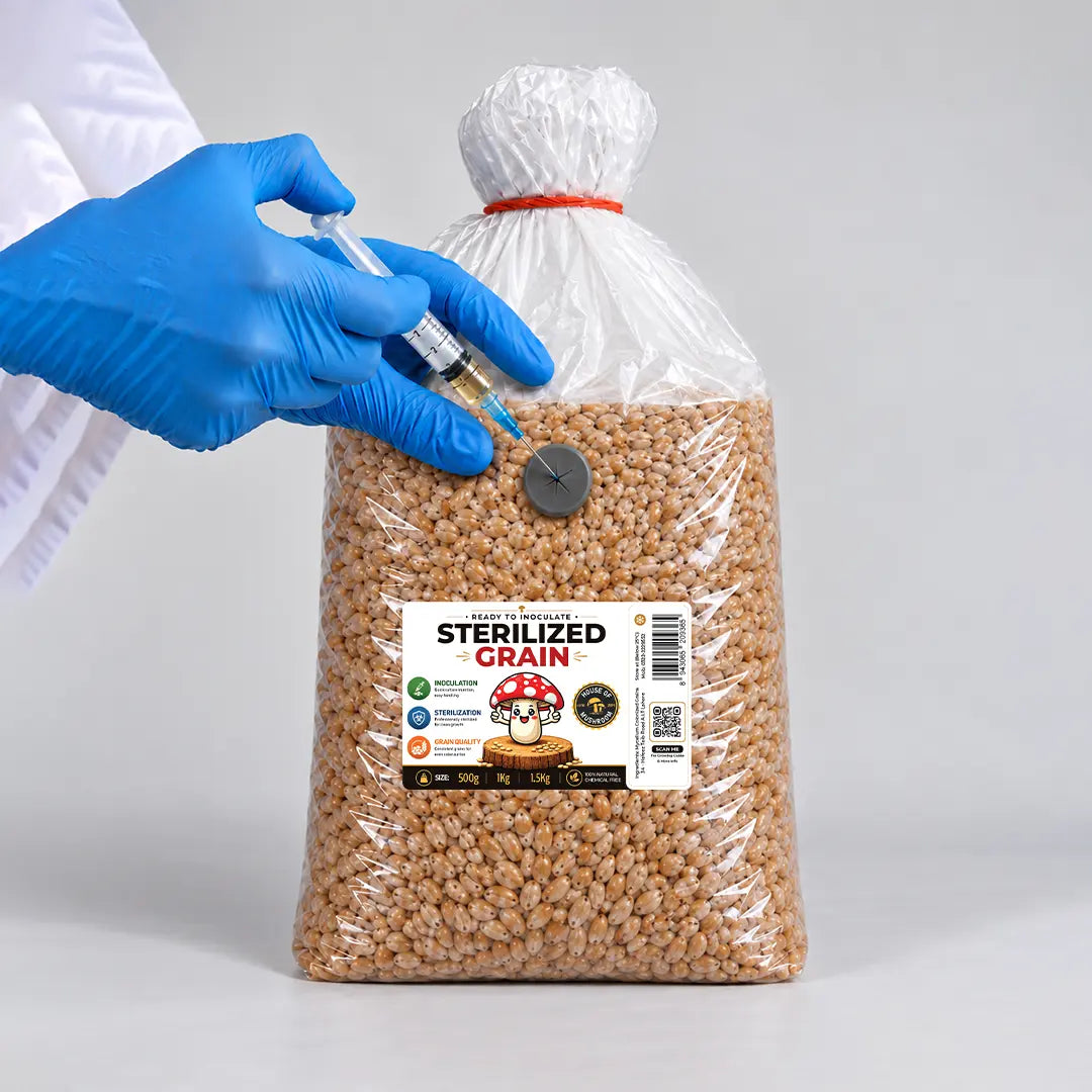 Sterilized Grain Bag – 1.5kg | With Self-Heal Injection Port