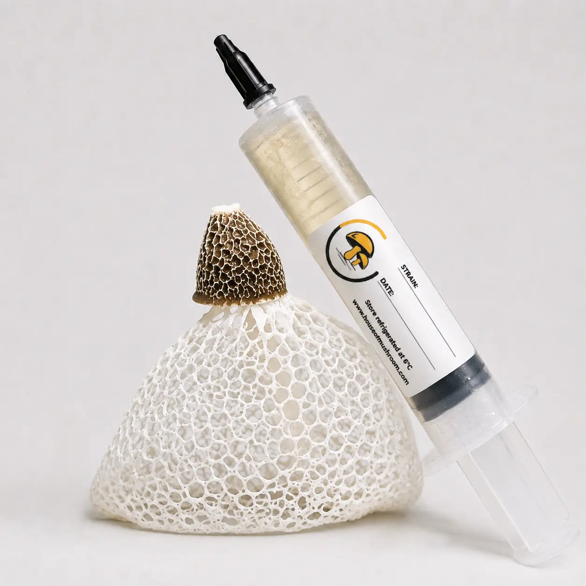 Stinkhorns Mushroom Liquid Culture – 10cc Syringe | Phallaceae Strain (199)