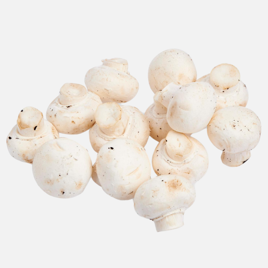 Super Bundle White Button Mushroom 5- Packs