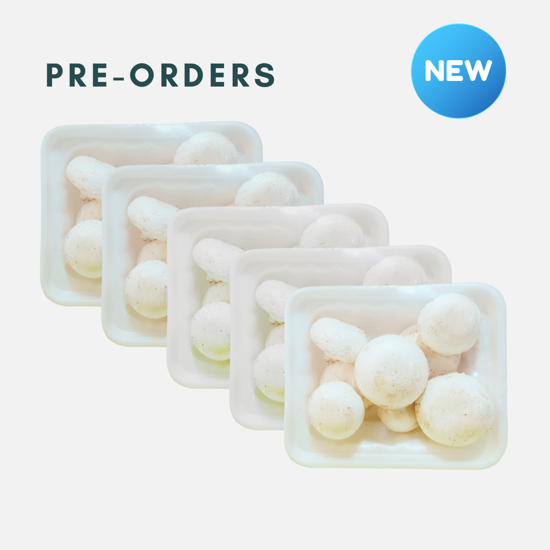 Super Bundle White Button Mushroom 5- Packs