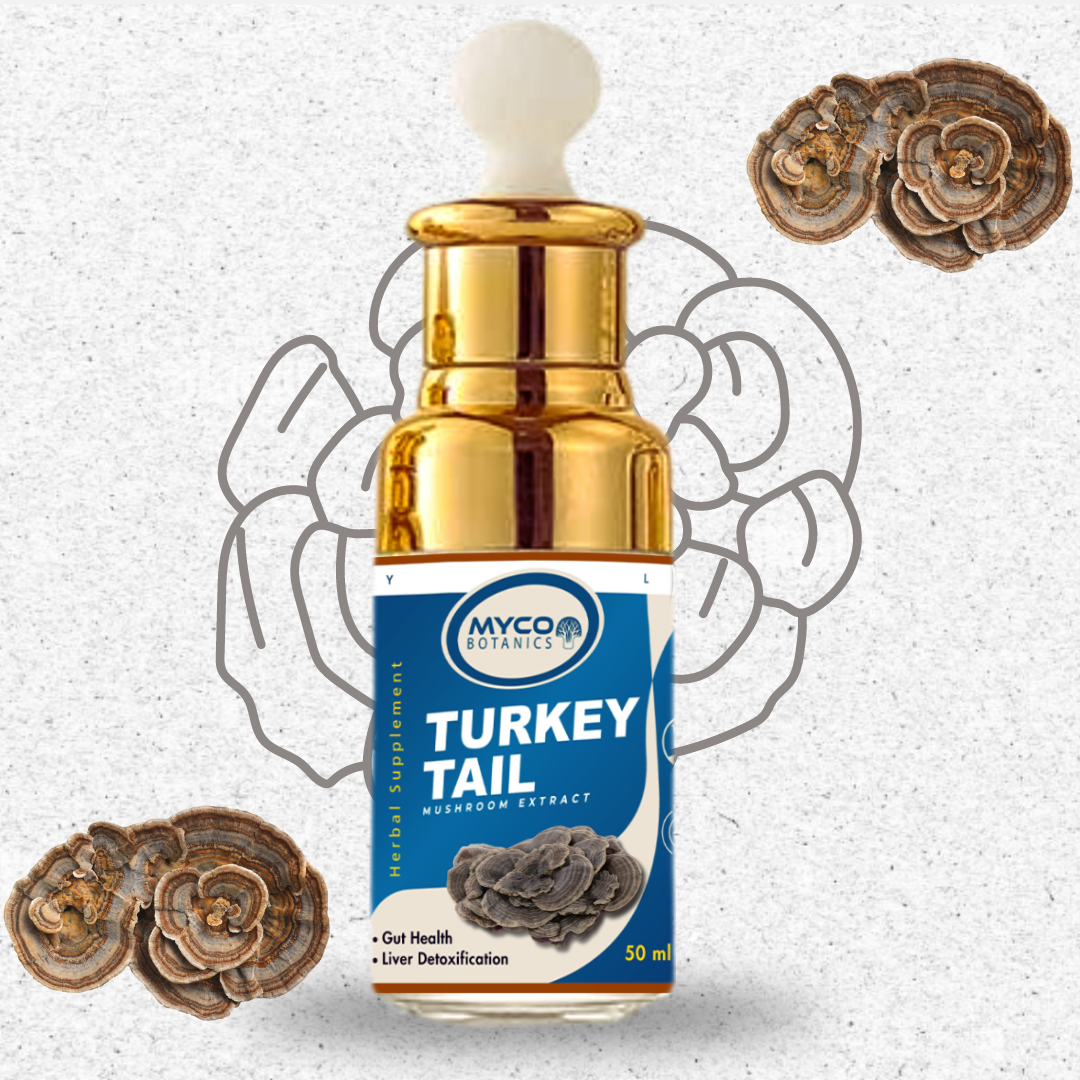 Turkey Tail Mushroom Tincture | Organic Turkey Tail Liquid Extract Supplement, Deigestive Health & Immune Response Supplement, One Month Supply