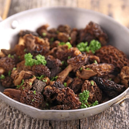 Dried Wild Morel Mushrooms 50gm