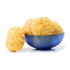 Dried Raw Tremella Snow Fungus Mushroom | Natural Beauty & Health Support