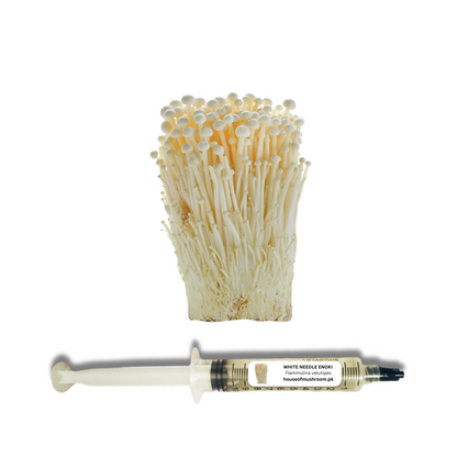 White Needle Enoki Mushroom Liquid Culture Syringe 20cc (C0915)