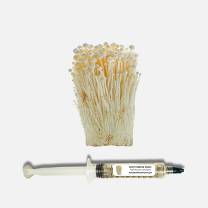 White Needle Enoki Mushroom Liquid Culture Syringe 20cc (C0915)