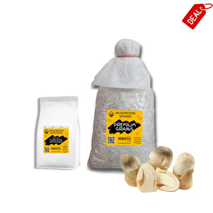 Paddy Straw Mushroom Grain Spawn 1.5kg (472)