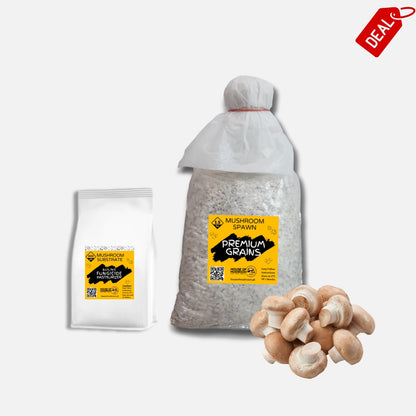 Brown Button Crimini Mushroom Grain Spawn 1.5kg (510)