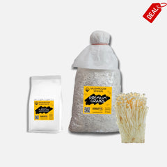 White Enoki Mushroom Grain Spawn 1.5kg (915)