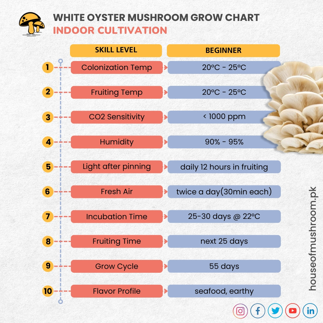 White Oyster mushroon Grain spawn - Grow chart