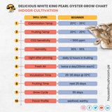 Delicious White King Pearl Oyster Mushroom Grain spawn 1.5kg (416)