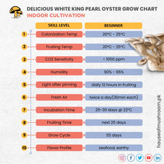 DELICIOUS WHITE KING PEARL OYSTER GRAIN SPAWN  1.5KG (416)