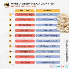 WHITE OYSTER MUSHROOM GRAIN SPAWN 1.5KG (410)