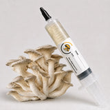 White King Pearl Oyster Mushroom Liquid Culture – 10cc Syringe | Pinctada Maxima Strain (416)