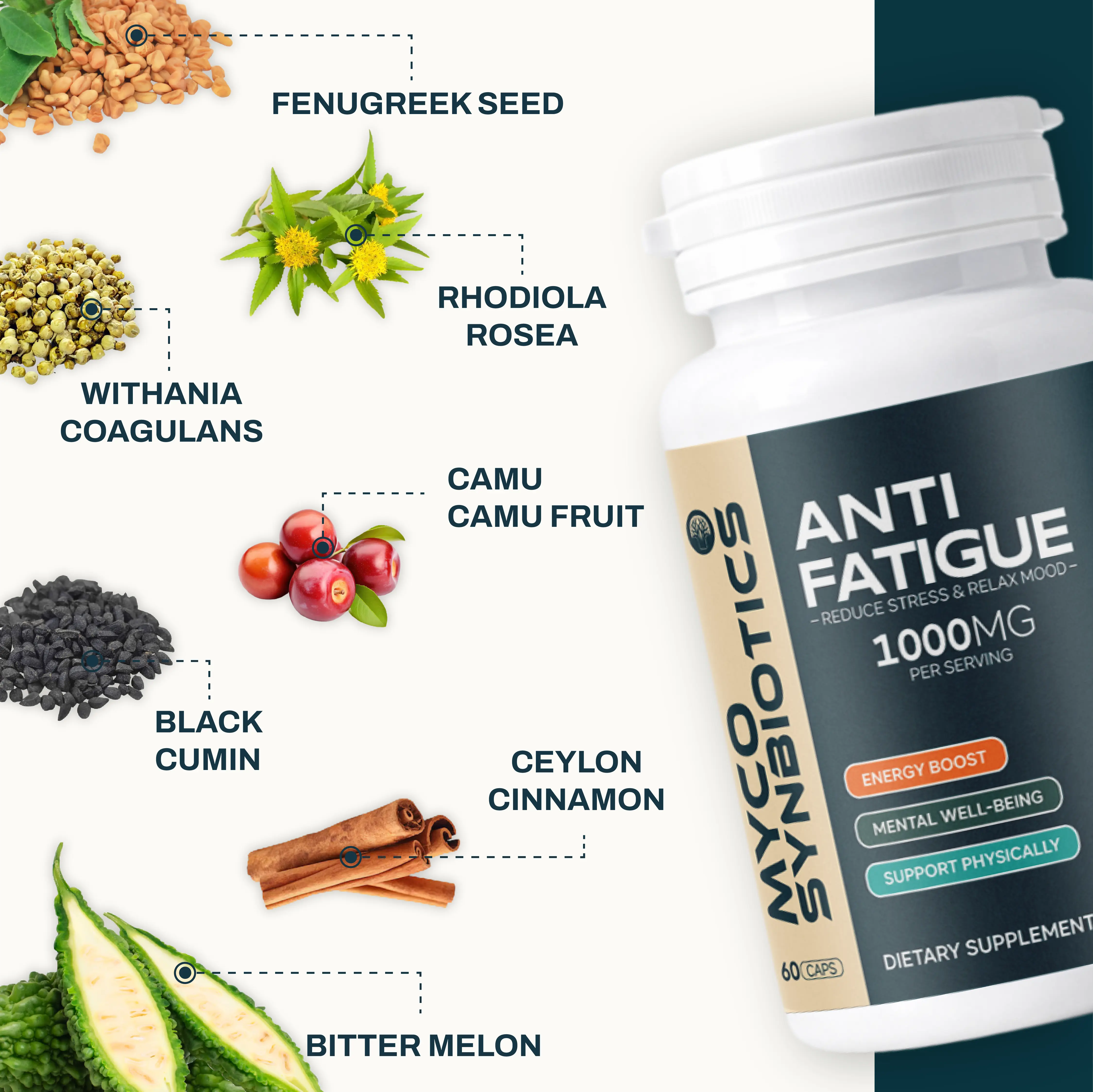 Anti Fatigue Capsules | Stress Support & Energy Boost Supplement