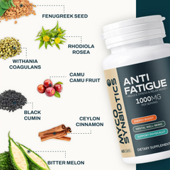 Anti Fatigue Capsules | Stress Support & Energy Boost Supplement