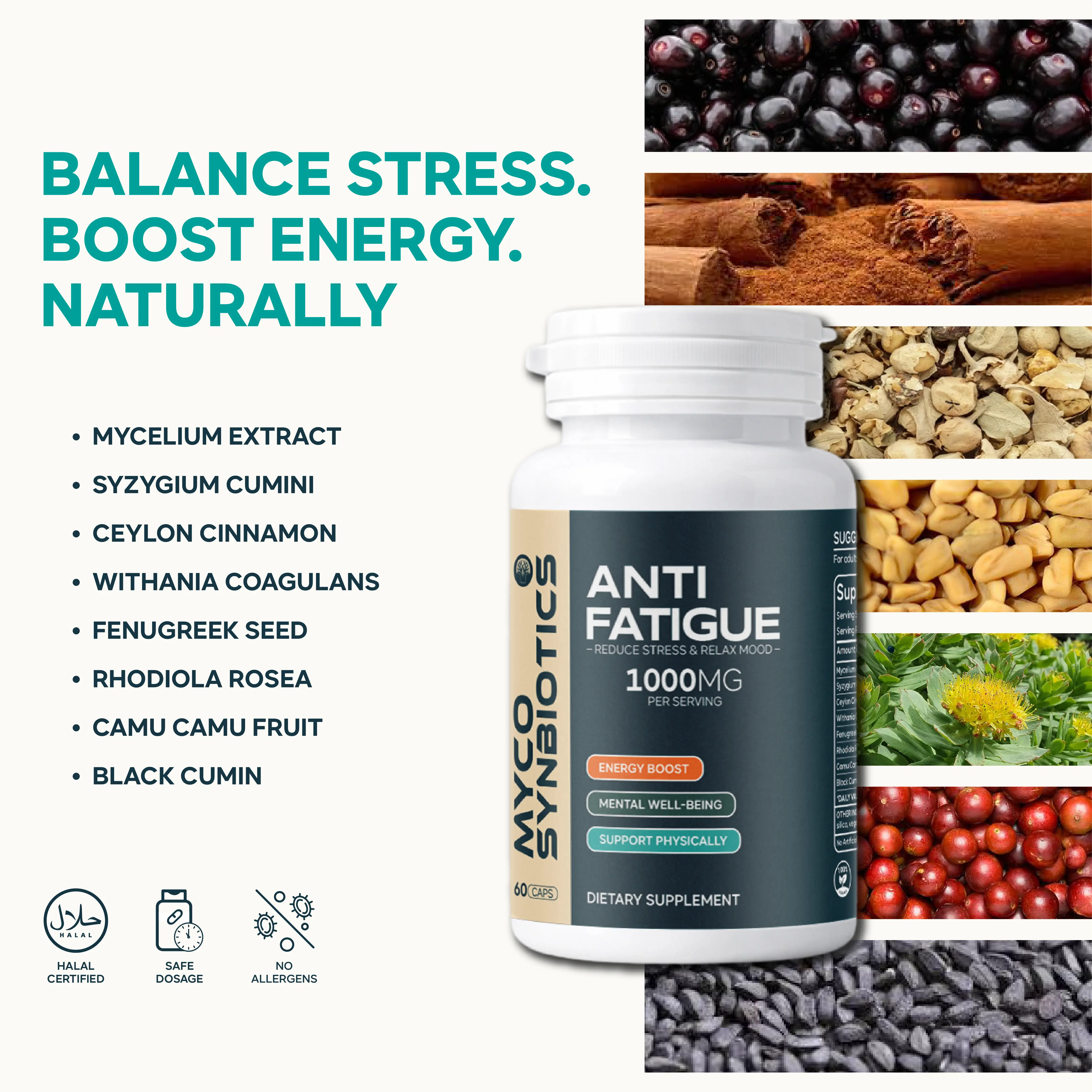 Anti Fatigue Capsules | Stress Support & Energy Boost Supplement