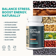 Anti Fatigue Capsules | Stress Support & Energy Boost Supplement