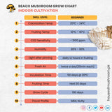 Beech Mushroom Grain Spawn 1.5kg (620)