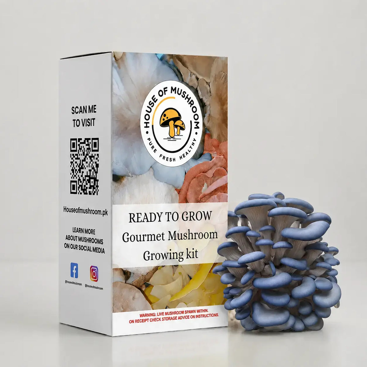Ready-to-Fruit Mushroom Grow Bag Blue Brat Oyster