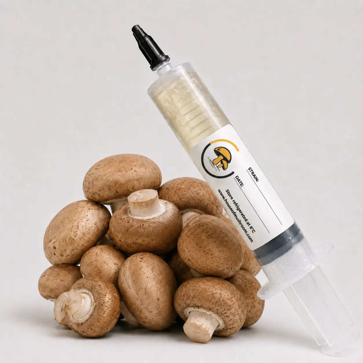 Brown Button Mushroom Liquid Culture – 10cc Syringe | Agaricus Bisporus Strain (510)
