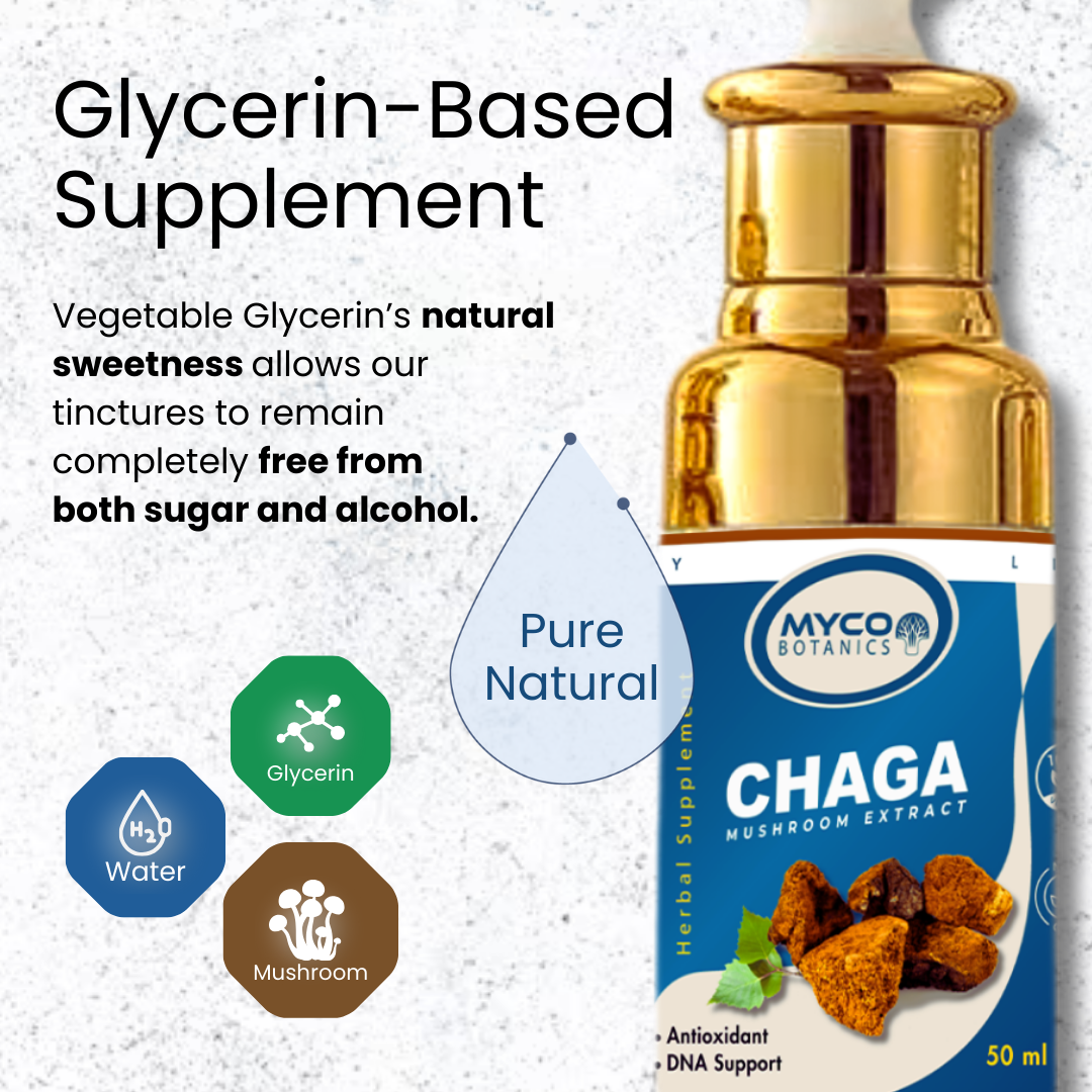 Chaga Mushroom Tincture | Organic Chaga Liquid Extract Supplement, Inflammation, Immune Support, Anti-Aging Supplement, One Month Supply