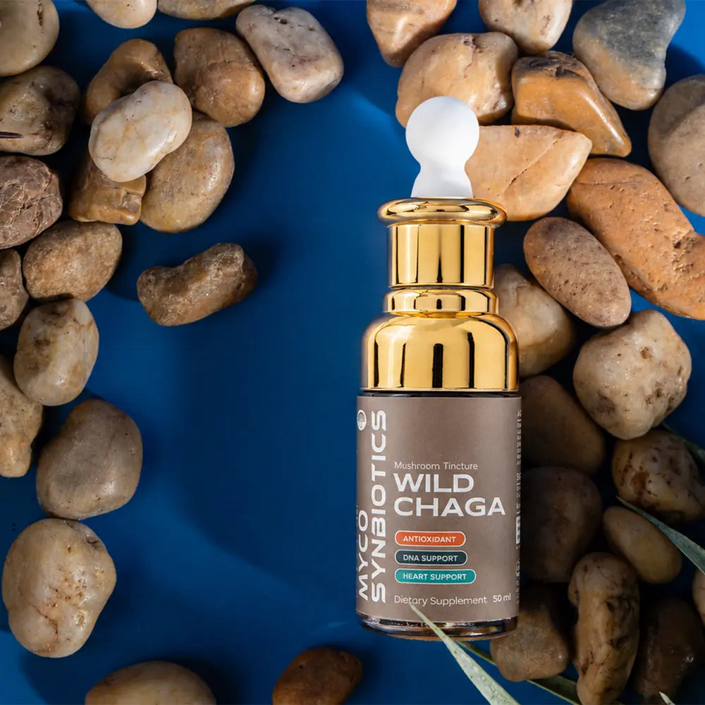 Chaga Mushroom Extract – Organic & Dual Extract for Antioxidant Support