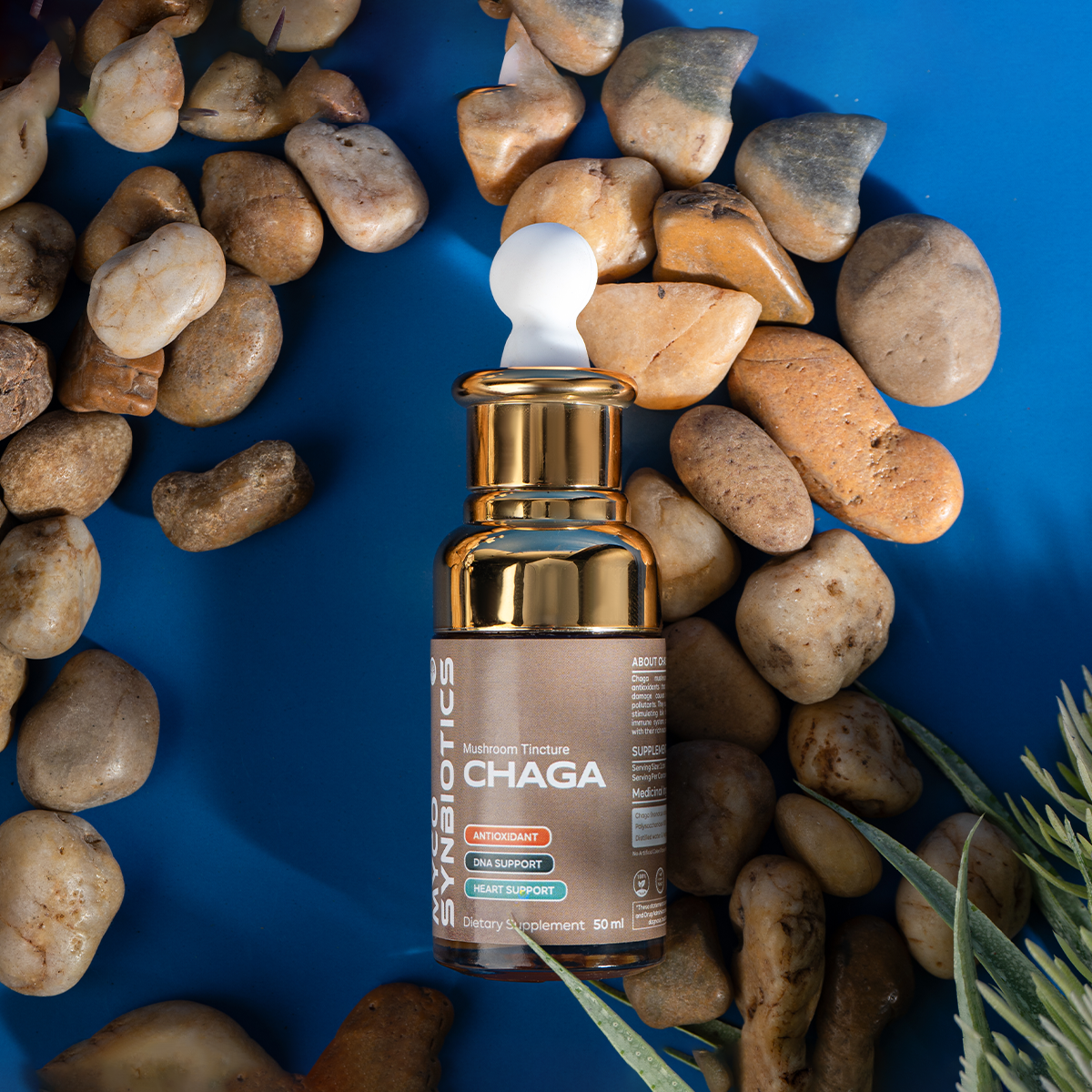Chaga Mushroom Tincture | Organic Chaga Liquid Extract Supplement, Inflammation, Immune Support, Anti-Aging Supplement, One Month Supply