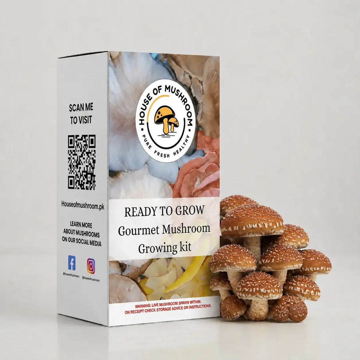 Ready-to-Fruit Mushroom Grow Bag Chestnut