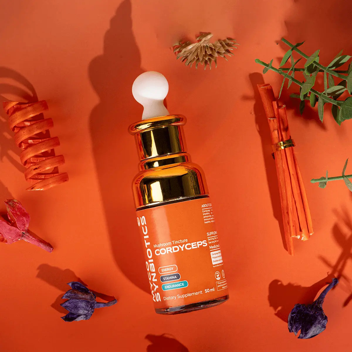 Cordyceps Mushroom Extract – Organic & Dual Extract for Energy & Endurance