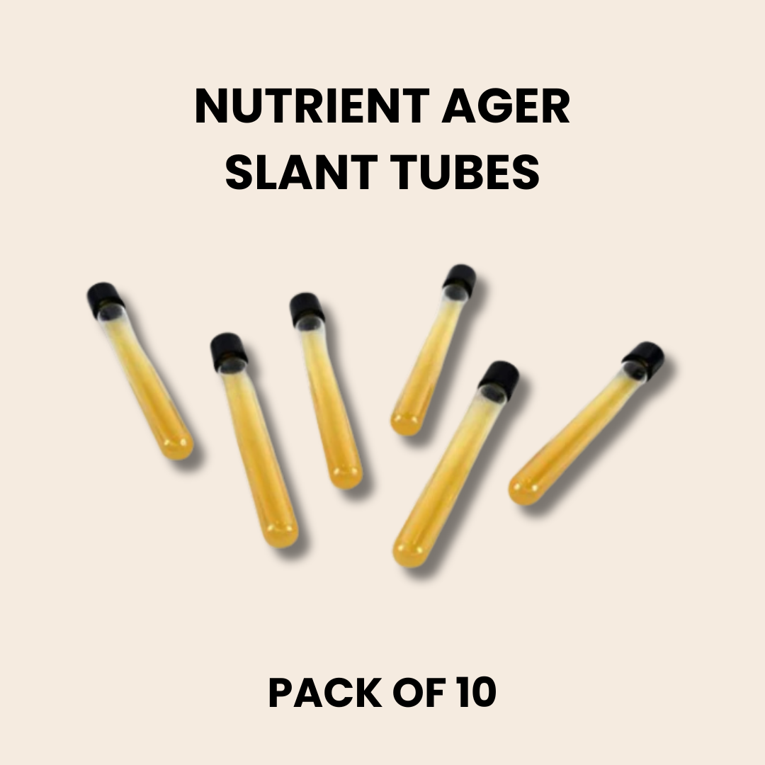 Pre-Poured Sterilized Malt Extract Agar Bottles (10-Pack)