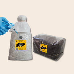 Grain Spawn + Cvg Mix Mushroom Substrate Combo Pack