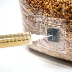 Lion's Mane Mushroom Pride Liquid Culture – 20cc Syringe | Premium Mycelium (C0116)