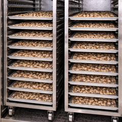 Food Dehydrator cabinet with 20 Trays For Mushroom and Vegetables ,Stainless Steel body capacity 40kg with Rennai Gas Heater energy saver