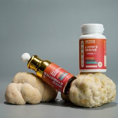 brain health mushroom supplement capsules pakistan