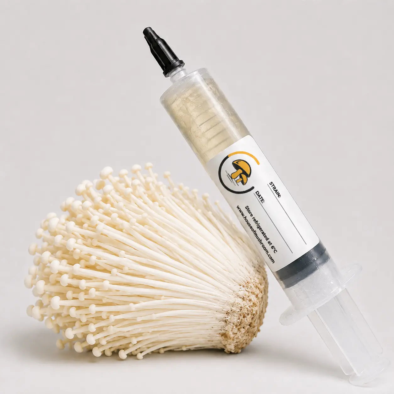 White Needle Enoki Mushroom Liquid Culture – 10cc Syringe | Flammulina Filiformis Strain (915)