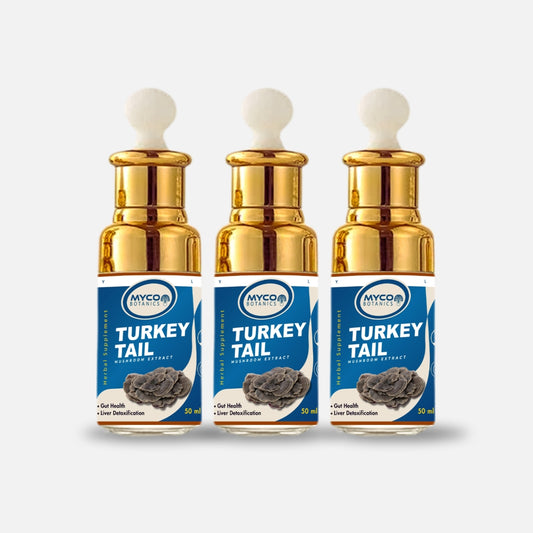 TURKEY TAIL MUSHROOM ORGANIC DUAL- EXTRACT 150ML