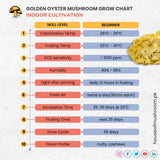 Golden Oyster Mushroom Grain Spawn 1.5kg (462)