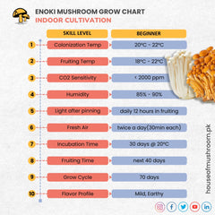 White Enoki Mushroom Grain Spawn 1.5kg (915)