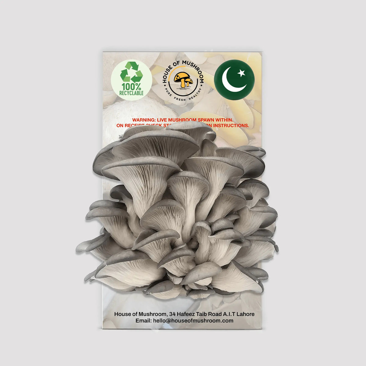 Grey Oyster Mushroom Grow Kit 1.5kg