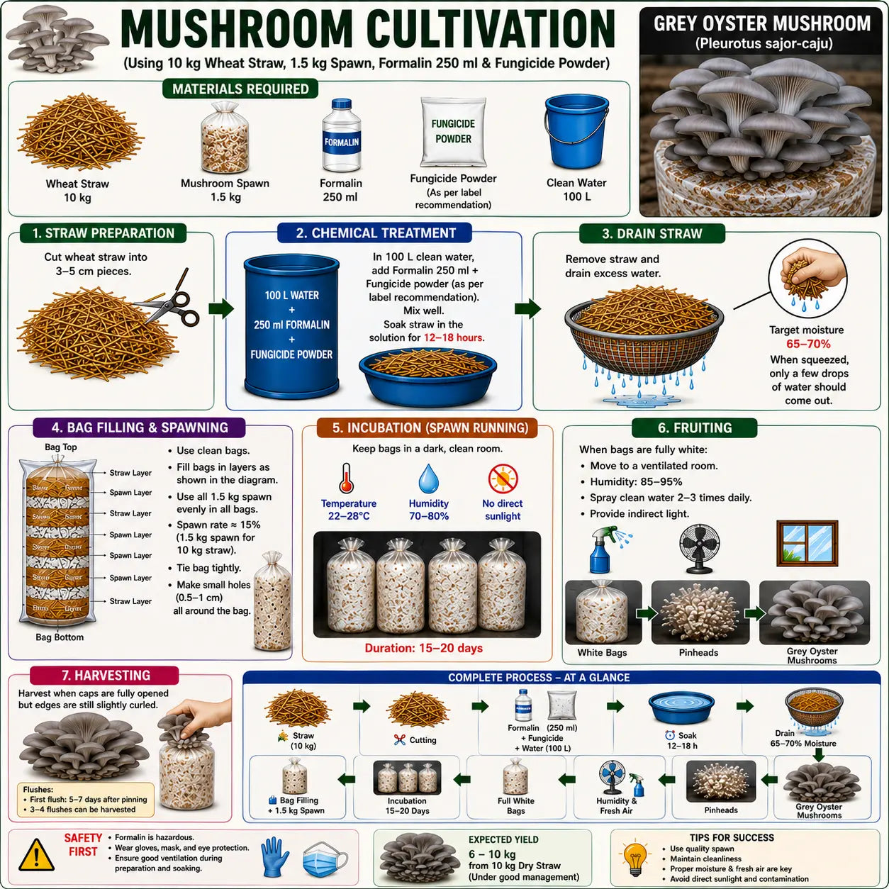 Grey Oyster Mushroom Grain Spawn 1.5kg (420)